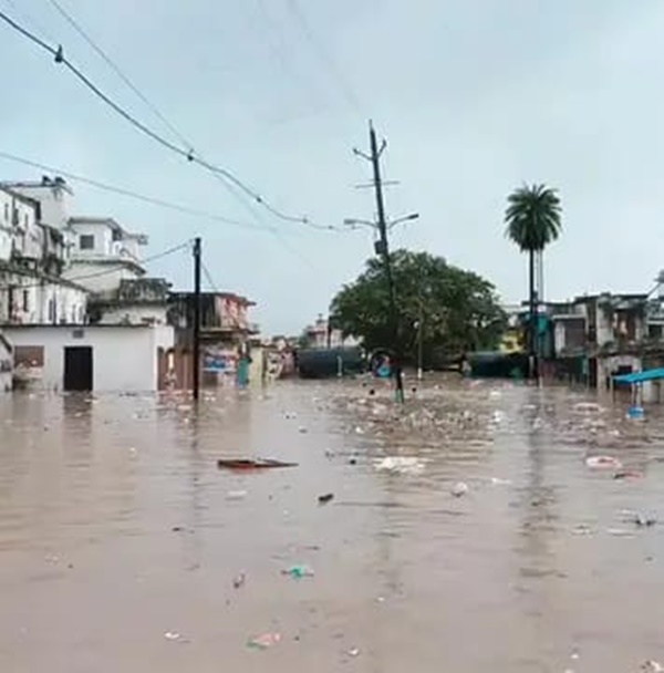 naidunia_image